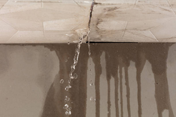 Professional Water Damage Repair technician working in Crane Hill, AL